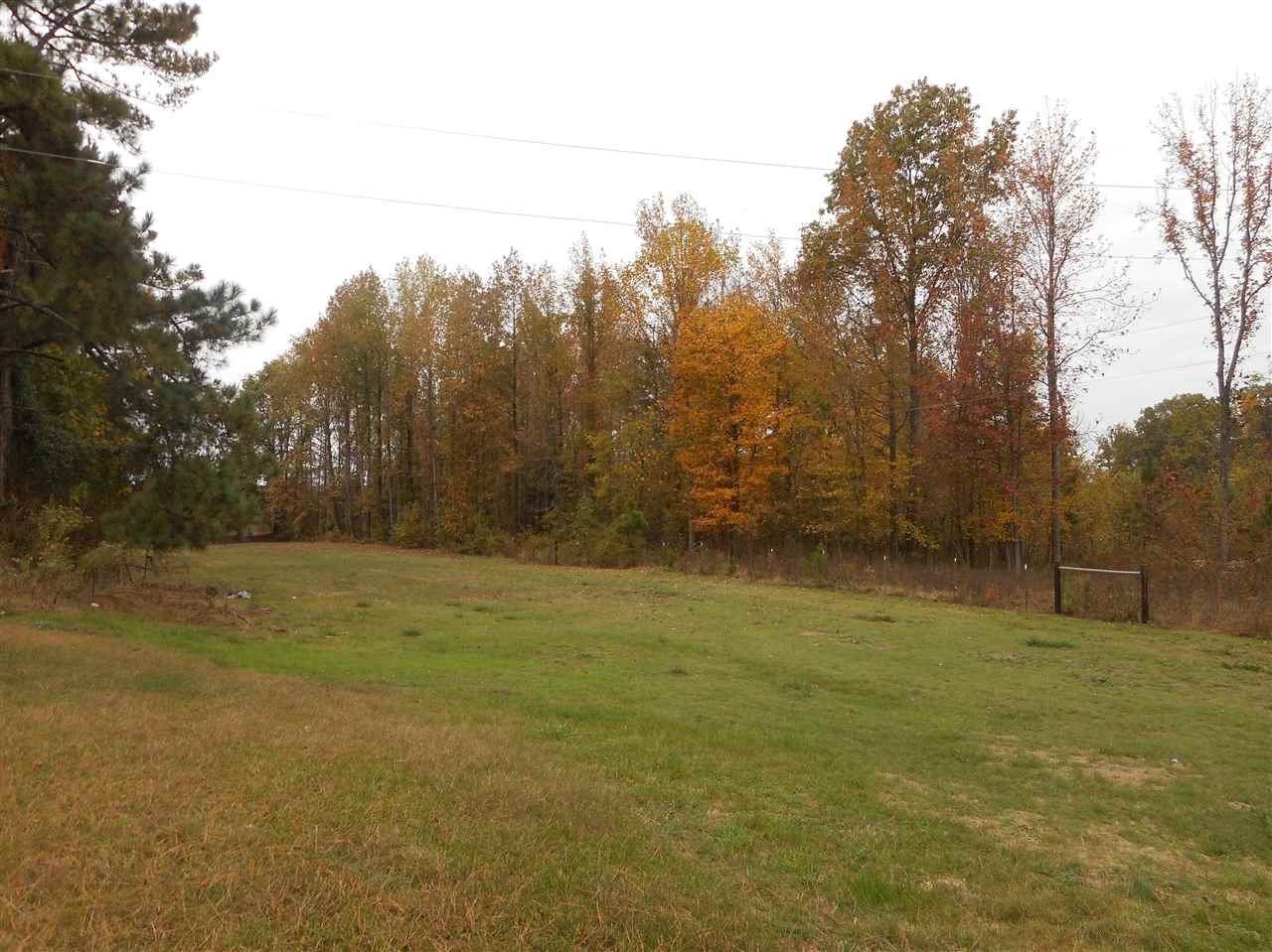 2511 Poplar Grove Cemetery Road Ripley, TN 38063 - Photo 3 of 9