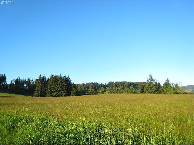 1371 Labarre Road Washougal, WA 98671 - Photo 8 of 16 Gallery Image 8