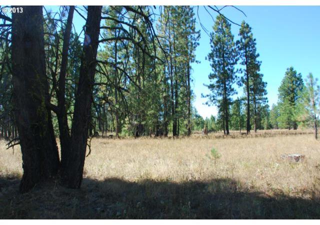 Pine Creek Road, Unit 3 Roosevelt, WA 99356 - Photo 12 of 15 Gallery Image 12