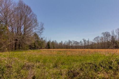 0 Hughey Talley Road Selmer, TN 38375 - Photo 12 of 16 Gallery Image 12