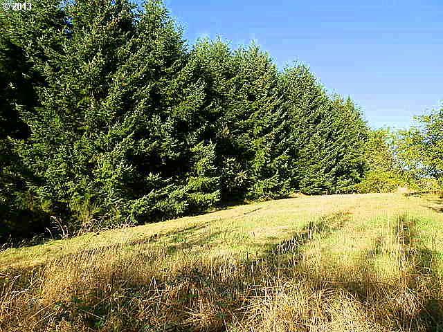 Southwest Old Kruger Road Sherwood, OR 97140 - Photo 1 of 16 Gallery Image 1