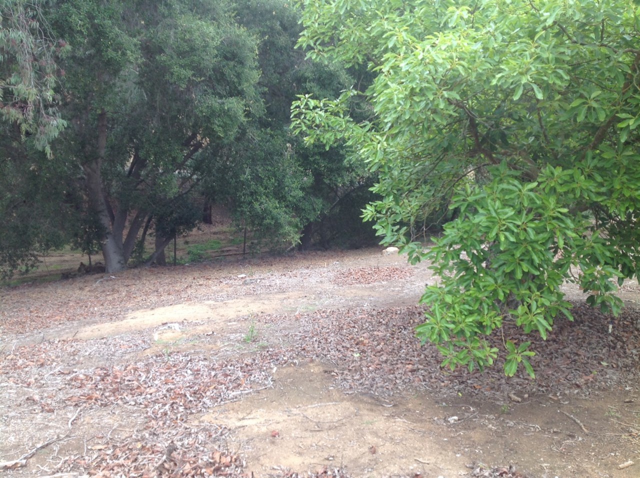 99999 Morro Hills Road Fallbrook, CA 92028 - Photo 6 of 20