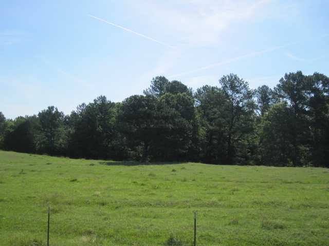 26 Strickland Road Byhalia, MS 38611 - Photo 4 of 21 Gallery Image 4