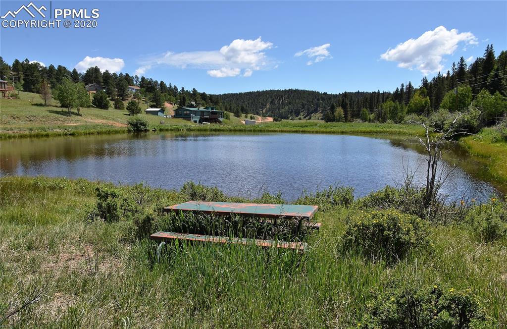 87 Apache Trail Divide, CO 80814 - Photo 9 of 20 Looking east over the pond that borders 87 Apache Trail.