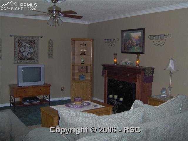 1209 Wooten Road Colorado Springs, CO 80915 - Photo 15 of 15 Living Room w/electric fireplace