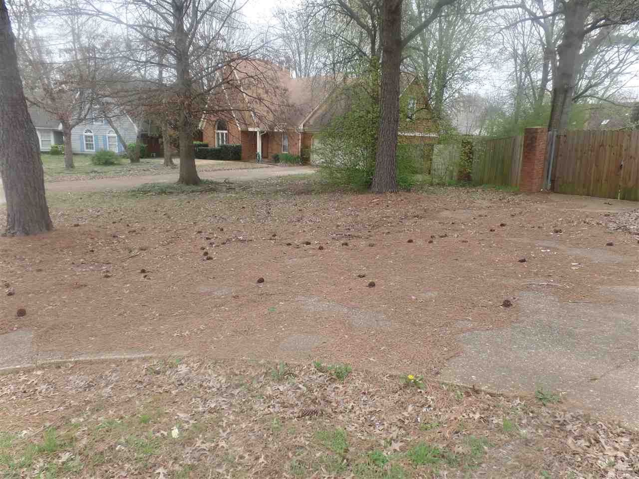 7105 Cutter Mill Road Memphis, TN 38141 - Photo 17 of 17