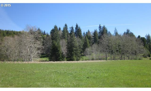Doyle Road, Unit 4 Raymond, WA 98577 - Photo 3 of 16 Gallery Image 3