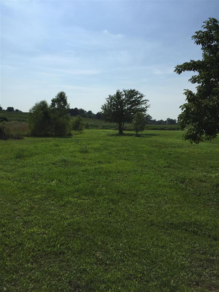 2383 Detroit Road Burlison, TN 38015 - Photo 2 of 8 Gallery Image 2