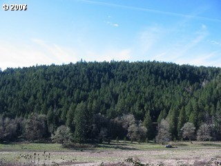 0 South Myrtle Road Myrtle Creek, OR 97457 - Photo 1 of 1 Gallery Image 1