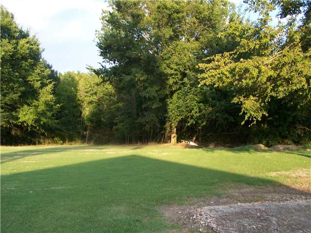 1270 Charles Bryan Road Cordova, TN 38018 - Photo 11 of 15 Almost 3 Acres!!!