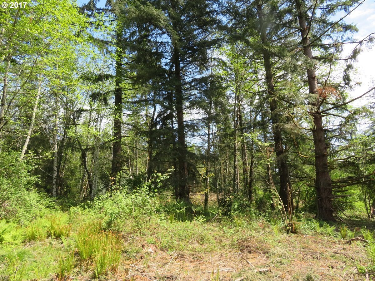 South Military Road Winlock, WA 98596 - Photo 14 of 26