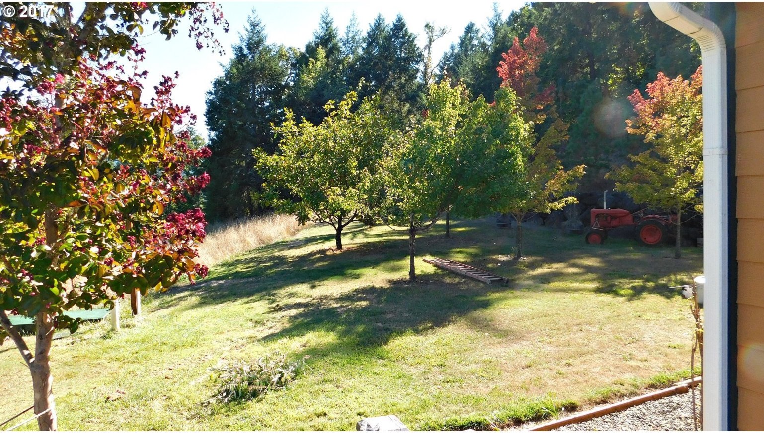 8161 Upper Olalla Road Winston, OR 97496 - Photo 8 of 32