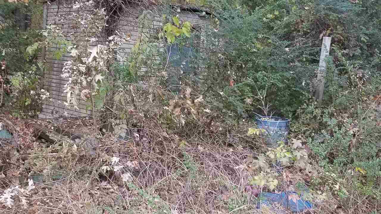 3584 Graves Road Memphis, TN 38116 - Photo 22 of 23