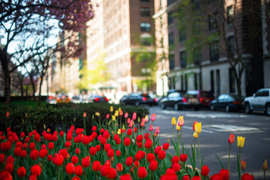 710 Park Avenue, Unit 14C Manhattan, NY 10021 - Photo 7 of 8