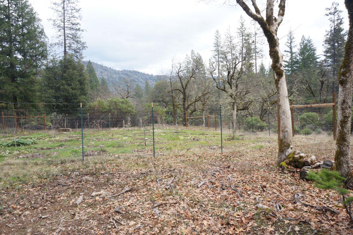 430 Senger Road Junction City, CA 96048 - Photo 15 of 23 Gallery Image 15