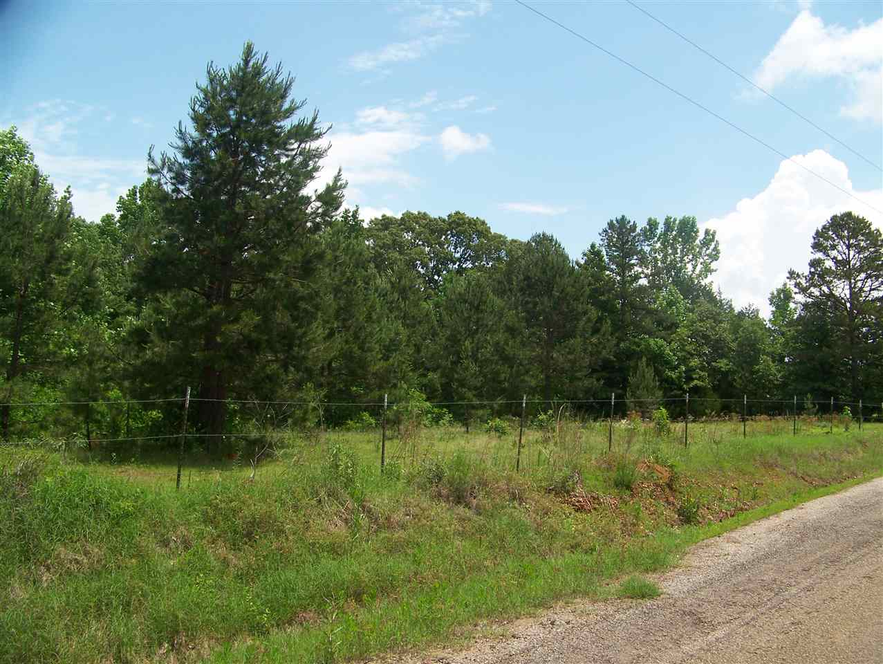 521 Combs Cemetery Road Adamsville, TN 38310 - Photo 8 of 24 Gallery Image 8