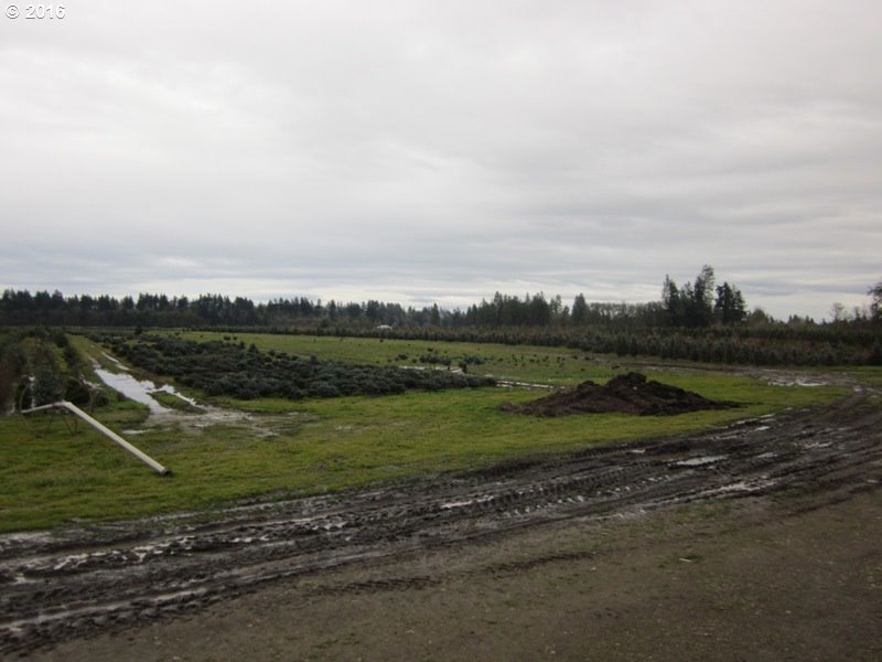 Talbot Road Jefferson, OR 97352 - Photo 1 of 6 Gallery Image 1