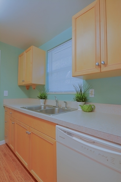 290 Almansa Road St. Augustine, FL 32086 - Photo 4 of 41 Gallery Image 4