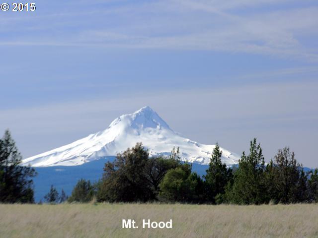 Wapinitia Road Maupin, OR 97037 - Photo 2 of 8