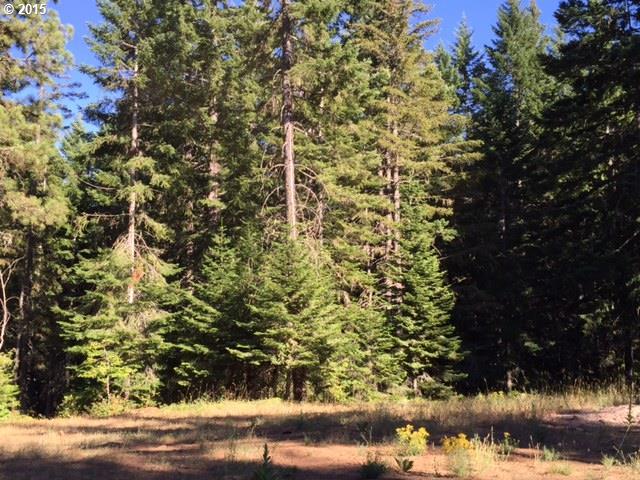 Prairie Road, Unit 54 Appleton, WA 98602 - Photo 1 of 16 Gallery Image 1