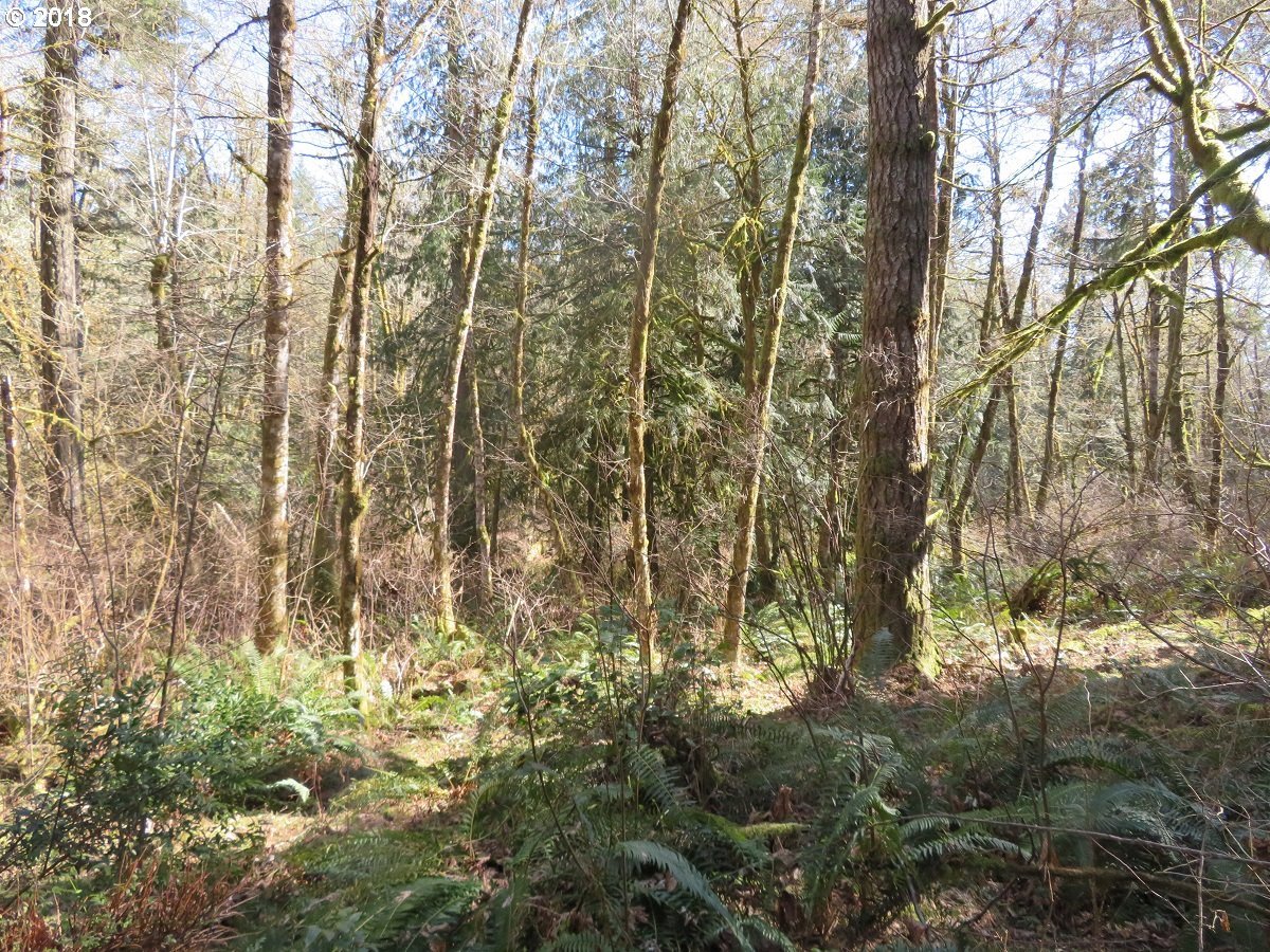 East Benson Loop Road Shelton, WA 98584 - Photo 27 of 27 Gallery Image 27