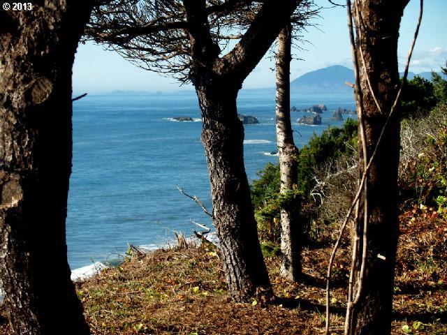 North Chantrelle Lane Gold Beach, OR 97444 - Photo 12 of 16
