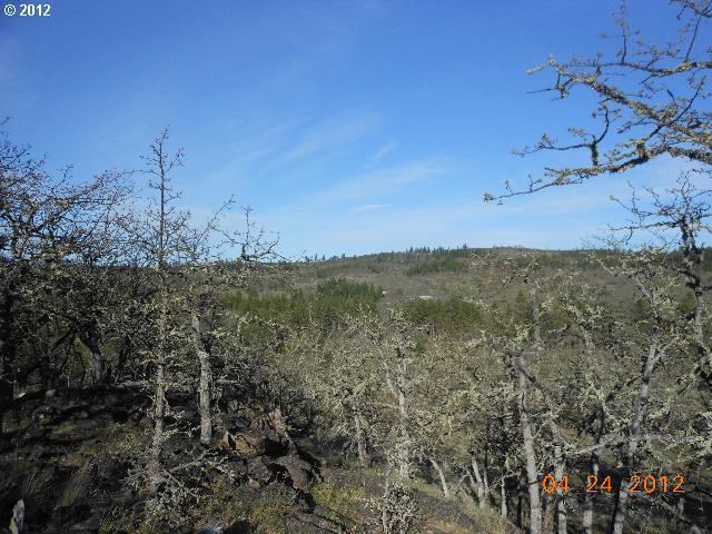 Log Cabin Road Goldendale, WA 98620 - Photo 6 of 16 Gallery Image 6