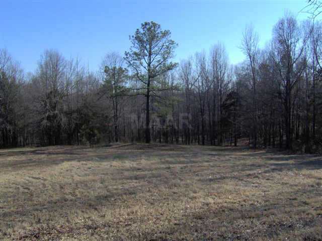 464 South Houston Levee Road Eads, TN 38028 - Photo 3 of 4 Gallery Image 3