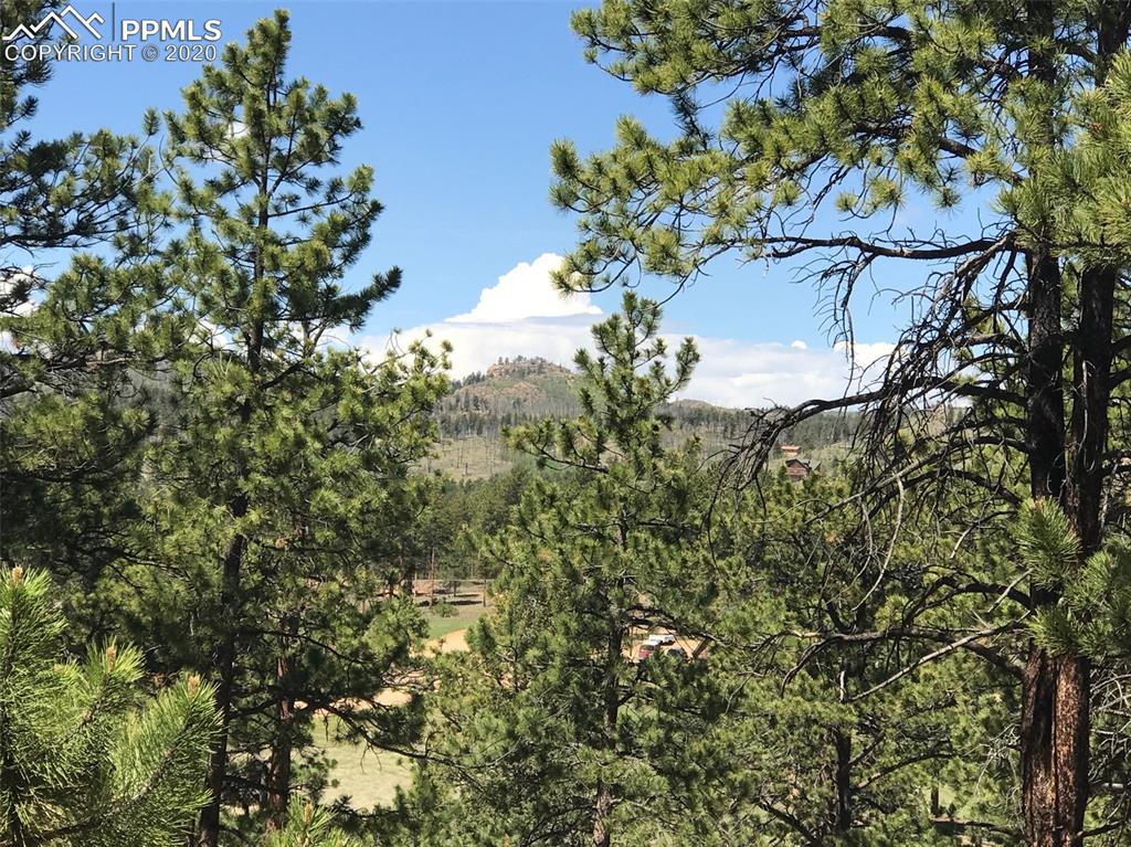 19 Ranch Road Woodland Park, CO 80863 - Photo 2 of 12 View from top of lot