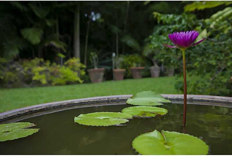 6880 Southwest 82nd Avenue Miami, FL 33143 - Photo 18 of 32