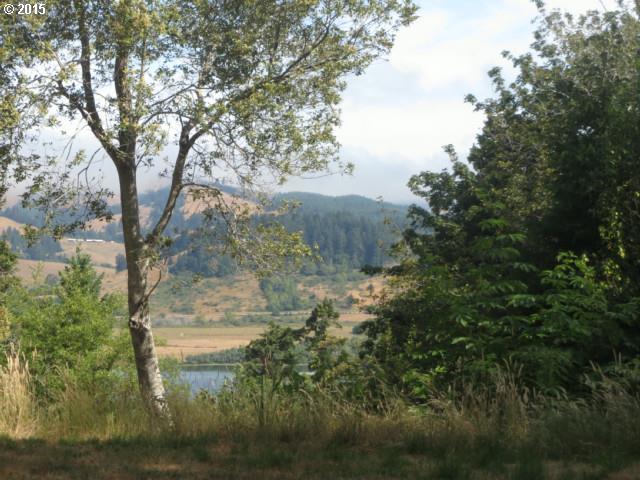 100 Mountain Road Gold Beach, OR 97444 - Photo 1 of 14 Gallery Image 1