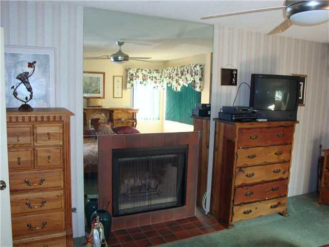 3051 Ruttles Court Spring Valley, CA 91978 - Photo 10 of 12 Master Bedroom fireplace next to the sliding doors to deck with great views.