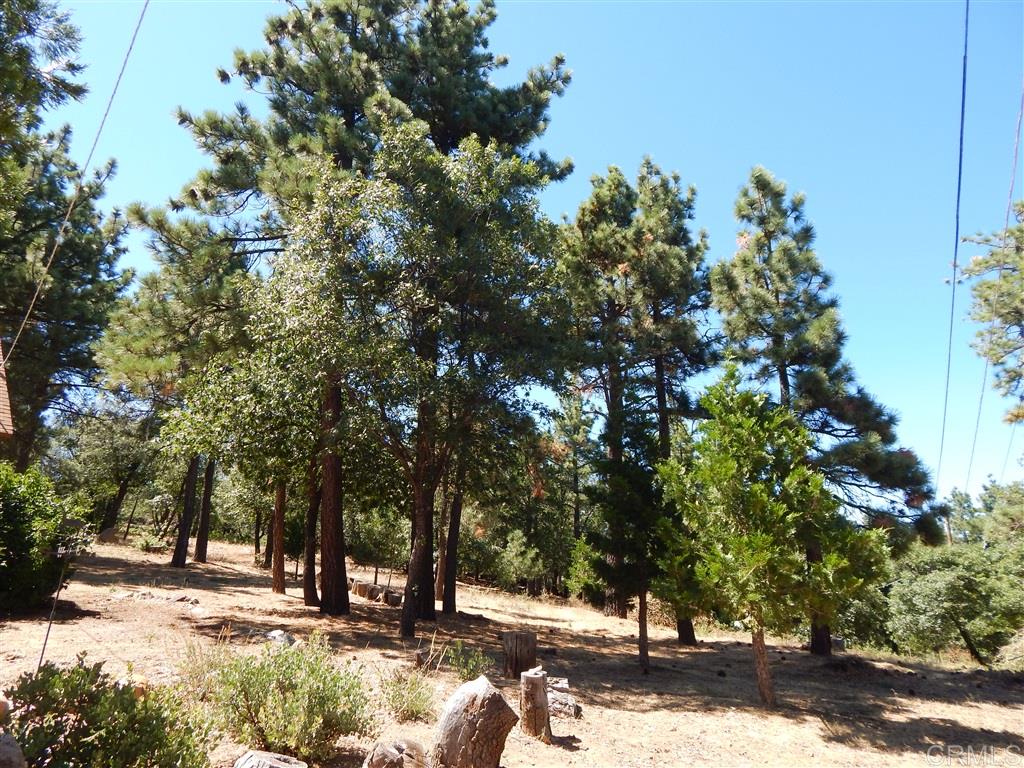 1101 Boiling Springs Road Mount Laguna, CA 91948 - Photo 6 of 16 Gallery Image 6
