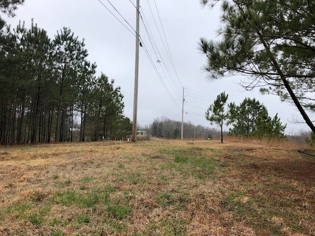 21 Race Path Road Selmer, TN 38375 - Photo 19 of 21 Gallery Image 19