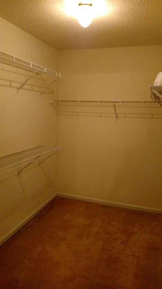 7954 Macon Road Cordova, TN 38018 - Photo 16 of 19 Spacious lighted closet w/ surround shelves & racks. Ample room to add more if you want.