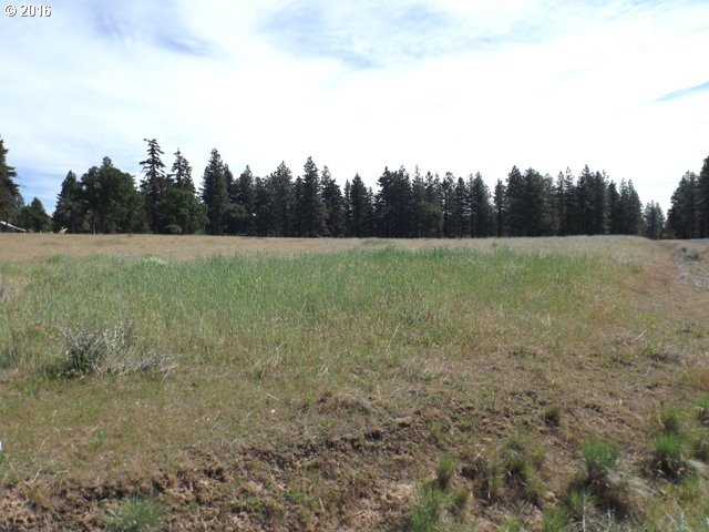 Austin Road Goldendale, WA 98620 - Photo 9 of 10 Gallery Image 9