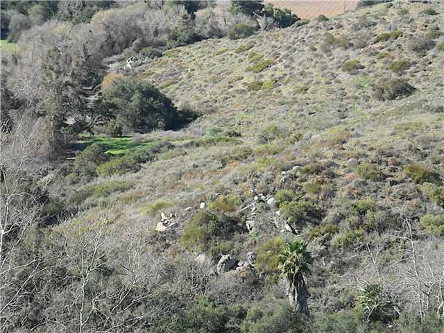 0 Couser Canyon Road Valley Center, CA 92082 - Photo 10 of 10