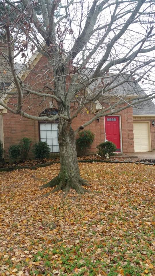 8329 Twin Rivers Drive Memphis, TN 38016 - Photo 1 of 8 Gallery Image 1