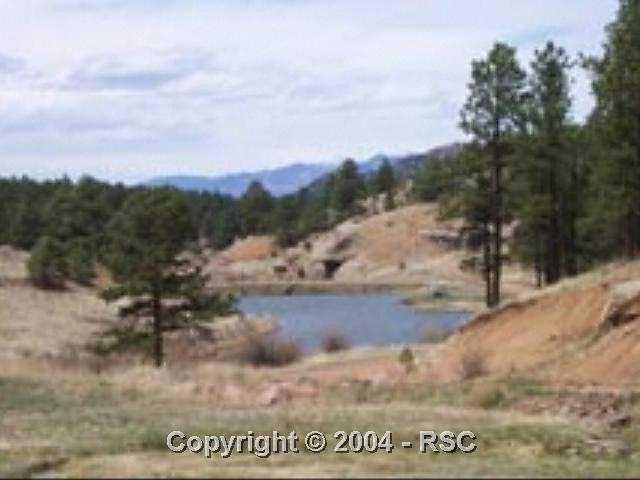 196 Buckridge Road Florissant, CO 80816 - Photo 7 of 7