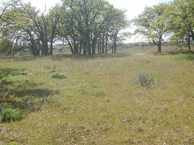 82 Old Mountain Road Goldendale, WA 98620 - Photo 10 of 10 Gallery Image 10
