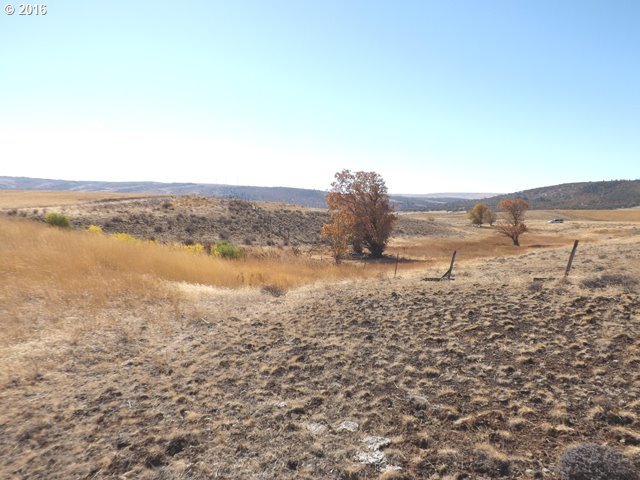 Dightons Road Goldendale, WA 98620 - Photo 6 of 15 Gallery Image 6