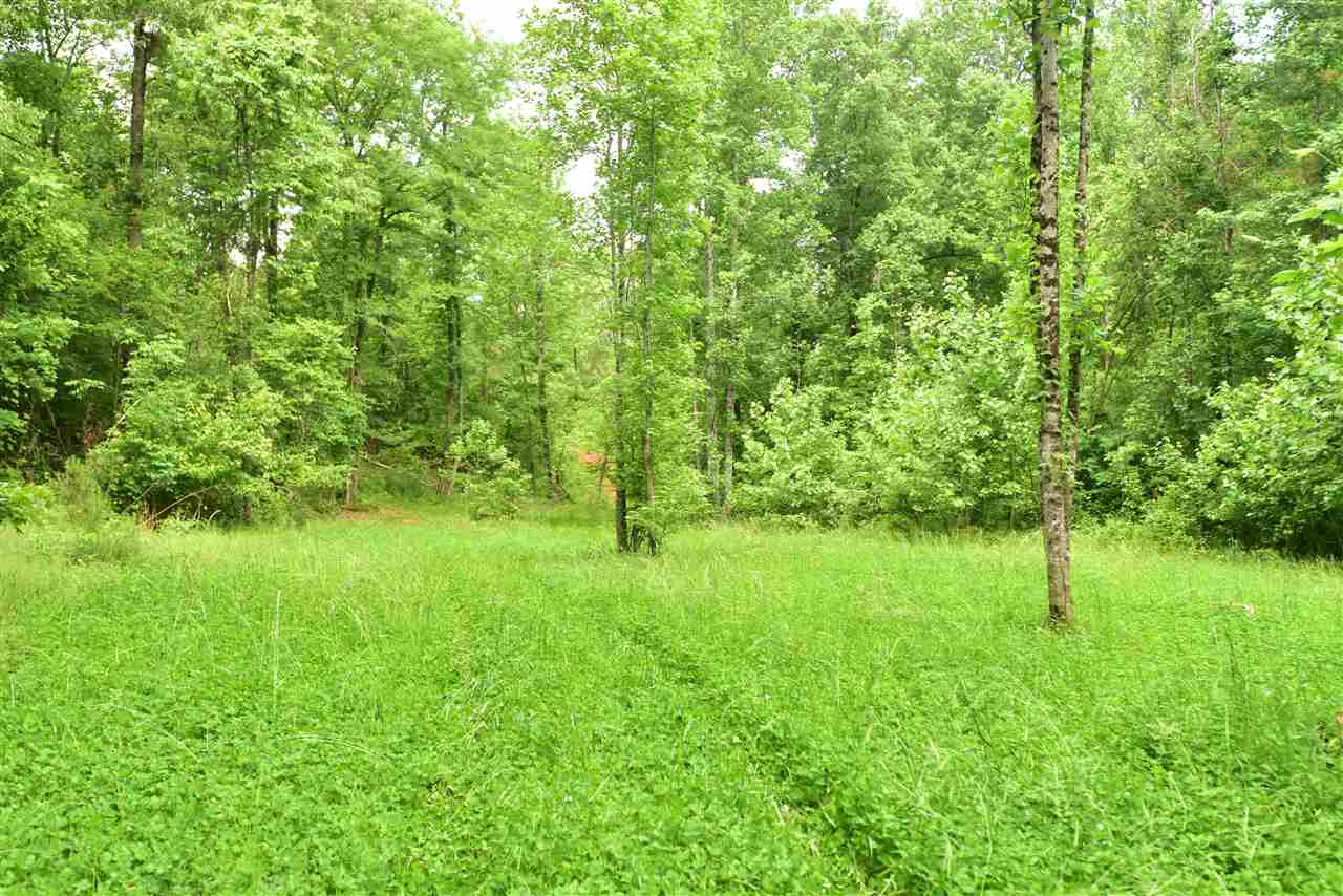 134 Hamilton Road Walnut, MS 38603 - Photo 16 of 18 Gallery Image 16