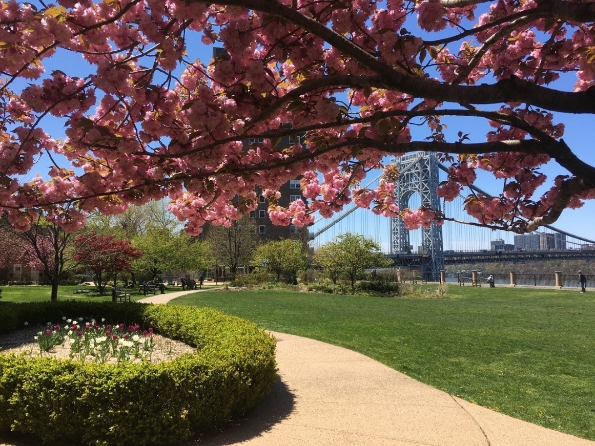 Castle Village 140 Cabrini Blvd, Manhattan, NY 10033 - Photo 15 of 24