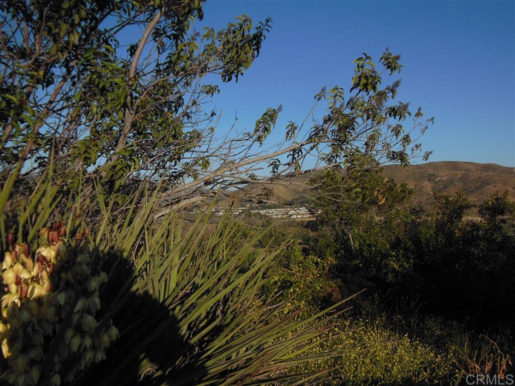 Nka Nka Pala Road Fallbrook, CA 92028 - Photo 4 of 10