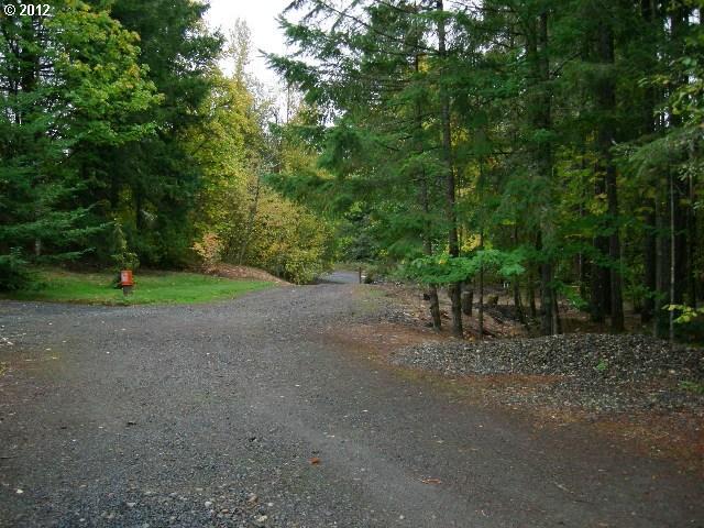11580 Northwest Rock Creek Road Portland, OR 97231 - Photo 15 of 16 Gallery Image 15