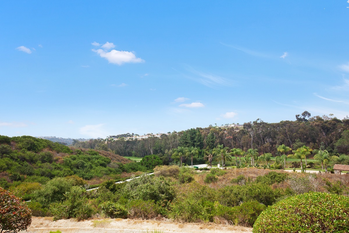7133 Tatler Road Carlsbad, CA 92011 - Photo 23 of 25