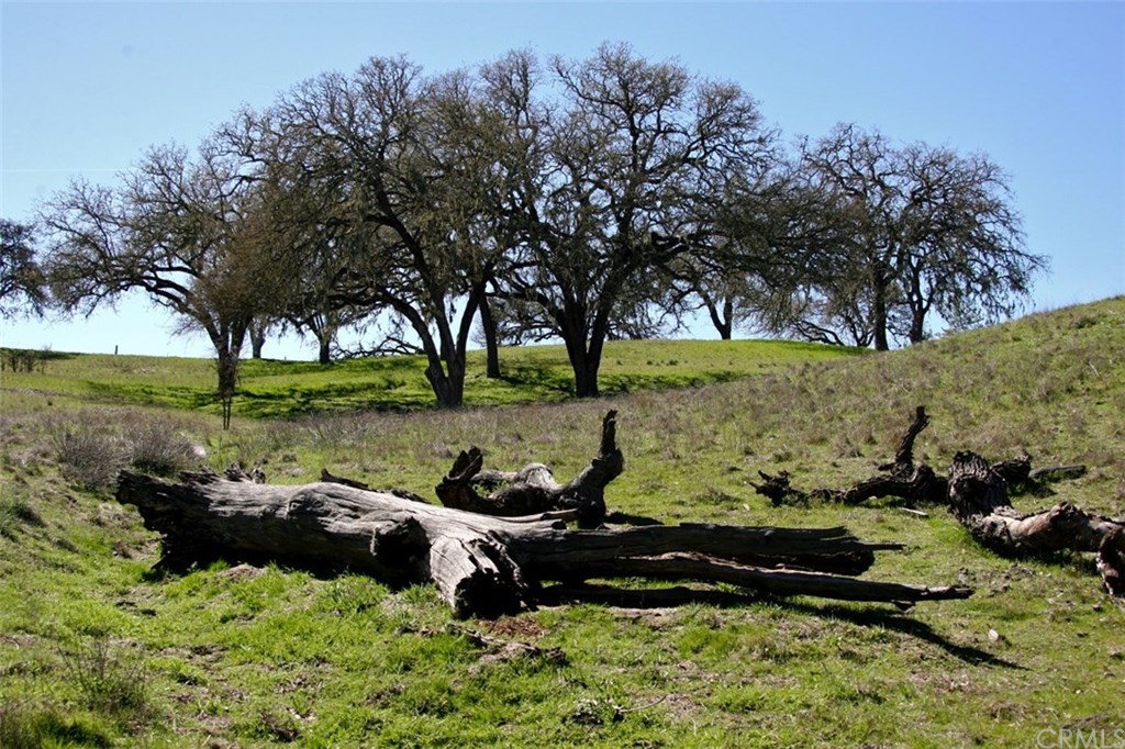 0 Templeton Road Templeton, CA 93422 - Photo 1 of 1 Gallery Image 1