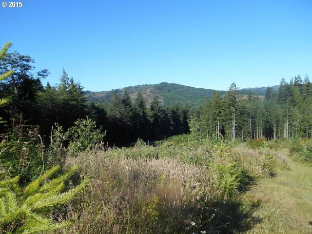 Skinner Road Woodland, WA 98674 - Photo 12 of 16 Gallery Image 12