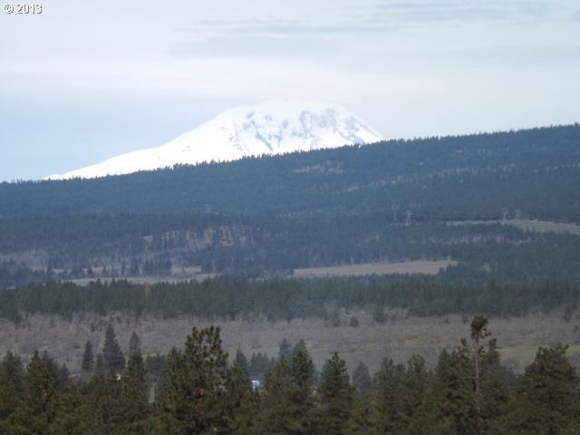 Chisholm Road Goldendale, WA 98620 - Photo 14 of 15 Gallery Image 14
