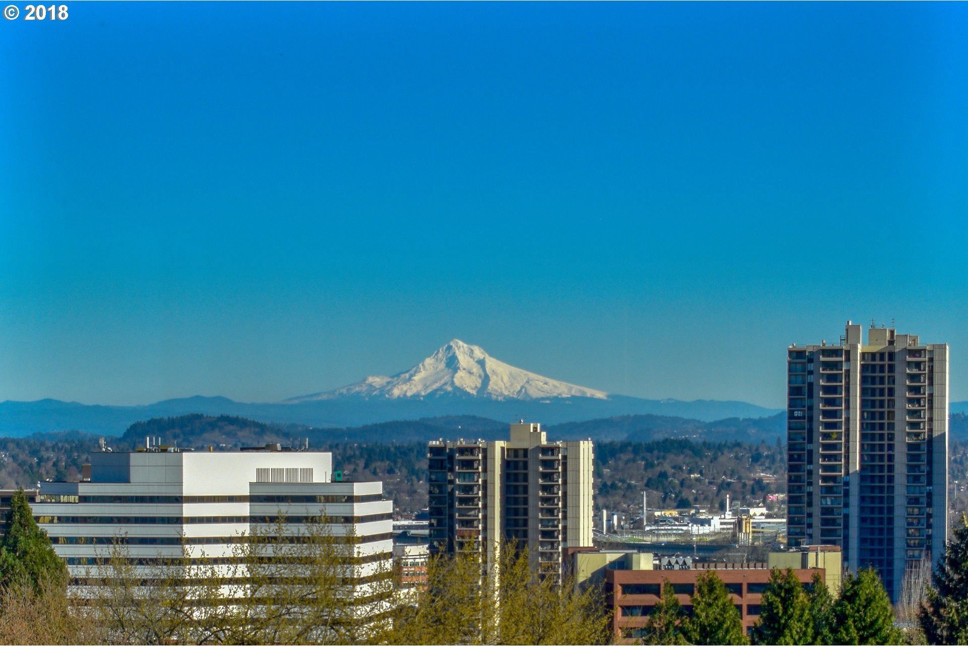 1238 Southwest Cardinell Way, Unit 1 Portland, OR 97201 - Photo 18 of 32 Gallery Image 18